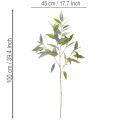 Mesterséges eukaliptusz ág, natúr zöld, dekoráció, 100cm | Floristik24.hu