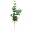 Floristik24 Eukaliptusz ág mesterséges zöld növény Eukaliptusz Deco 75cm