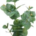 Floristik24 Eukaliptusz ág mesterséges zöld növény Eukaliptusz Deco 75cm