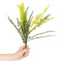 Műpáfrányág, műzöld dekorációs növény, 45cm | Floristik24.hu