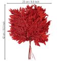 Tartósított és festett páfránylevelek, igazi páfrány őszi virágdíszekhez, 42 cm, 10 darab | Floristik24.hu