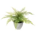 Floristik24 Mesterséges páfrány virágcserépben nappaliba és irodába, 35 cm
