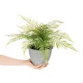 Mesterséges páfrány virágcserépben nappaliba és irodába, 35 cm | Floristik24.hu