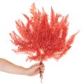 Páfrányok, tartósított szárított virágok, őszi dekoráció, 60 cm, 10 darab | Floristik24.hu