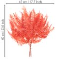 Páfrányok, tartósított szárított virágok, őszi dekoráció, 60 cm, 10 darab | Floristik24.hu