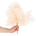 Szárított páfrány vázadísz 42cm 10db | Floristik24.hu