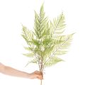 Műpáfrányág, dekoratív zöld növény virágkötészethez, 80cm | Floristik24.hu