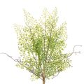Floristik24 Műzöld ruscus ág virágdíszítéshez, 41cm