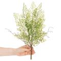 Műzöld ruscus ág virágdíszítéshez, 41cm | Floristik24.hu