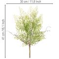 Műzöld ruscus ág virágdíszítéshez, 41cm | Floristik24.hu