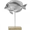Floristik24 Díszhal, tengeri dekoráció, hal ezüst fémből, natúr szín H28,5cm