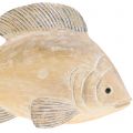 Floristik24 A fa dekoratív halak természetes megjelenésűek, L17 cm