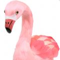 Floristik24 Dekoratív flamingó tollas rózsaszín H45cm