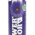 Floristik24 Flower Decor Purple 400ml spray