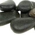 Floristik24 Folyó kavics matt fekete természetes kövek dekoratív kövek L15-60mm sz15-40mm 2kg