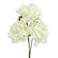 Floristik24 Habszivacs Rózsa Ø7.5cm Krém 18 db
