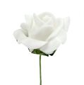 Habrózsa Ø 3,5cm fehér 48 db | Floristik24.hu