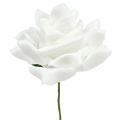 Floristik24 Hab rózsák fehér Ø10cm 8db