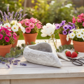 Dekoratív szív alakú tál, szürke; kis szív alakú virágtartó, 19 cm | Floristik24.hu