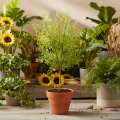 Műzöld ruscus ág virágdíszítéshez, 41cm | Floristik24.hu