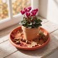 "Linda" csészealj Ø20cm terrakotta | Floristik24.hu