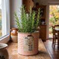 Virágcserép díszdoboz lazac fém fűszertartó Ø8cm M7.5cm | Floristik24.hu