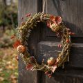 Dekoratív koszorú, natúr, Ø33cm, zuzmó, moha, ajtókoszorú, asztaldísz, fali dekoráció | Floristik24.hu