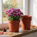 Növénycserép műanyag Ø17cm 10db | Floristik24.hu
