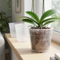 Csere orchideának Ø12cm átlátszó 10db | Floristik24.hu