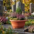 Műanyag virágtál Ø20cm virágtál terrakotta 5db | Floristik24.hu