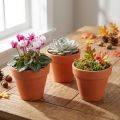 Virágcserép agyag Ø6cm magas 5cm 10db | Floristik24.hu