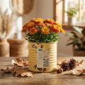 Dekoratív fémdoboz, nyári barack színű, fém doboz, kaspó, Ø8cm M7.5cm | Floristik24.hu