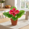 Primroses művirágok Cowslips Pink H25cm | Floristik24.hu