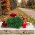 Dekoratív szív puszpáng mesterséges díszszőnyeg zöld 30,5cm | Floristik24.hu