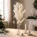 Tavaszi spárga Spárga tartósított Fehér 55-70cm 100g | Floristik24.hu