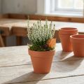 Virágcserép agyag Ø8cm magas 7cm 10db | Floristik24.hu