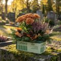 Nedves virághab a friss virágokhoz virágkompozíciók téglák | Floristik24.hu