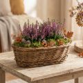 Kenyérkosár kb. 30 cm-es ovális, hámozatlan | Floristik24.hu