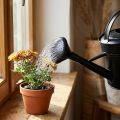 Öntözőkanna zuhany fekete 5l | Floristik24.hu