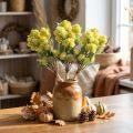 Kövér Tyúk Zöld Sedum Stonecrop Művirágok 41cm 3db | Floristik24.hu