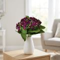 Lángoló Käthchen Kalanchoe műlila 24cm | Floristik24.hu