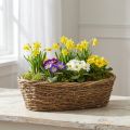 Természetes Szőlő Virágcserép Ovális 40x19x11.5cm | Floristik24.hu