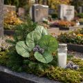 Galax Urceolata levelek mesterséges zöld Ø10cm L23cm 12 db | Floristik24.hu