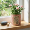 Virágcserép díszdoboz lazac fém ültető Ø15.5cm M15cm | Floristik24.hu