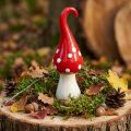 Deco légyölő galóca kerámia Deco gomba piros fehér Ø6,5cm H21cm | Floristik24.hu