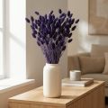 Phalaris Violet szárított díszfű 50-55cm 100g | Floristik24.hu