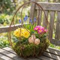 Drótkosár, fém virágtartó, tavaszi dekoráció, húsvéti kosár, barna, rozsdabarna felület, M34cm H30cm | Floristik24.hu
