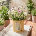 Dekoratív fém bádog, sárgabarack, fém kaspó, nyári dekoráció, Ø15.5cm M15cm | Floristik24.hu