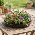 Rondino növénygyűrű Ø35-55cm, 1db | Floristik24.hu