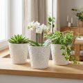 Ültető Kerámia cserep Fehér Ø11cm H11cm 3db | Floristik24.hu